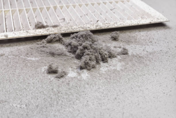 Best Residential Air Duct Cleaning  in Westville, NJ
