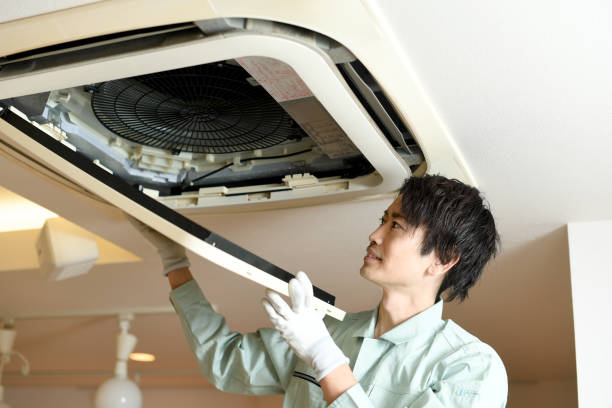 Best Dryer Vent Cleaning Services  in Westville, NJ